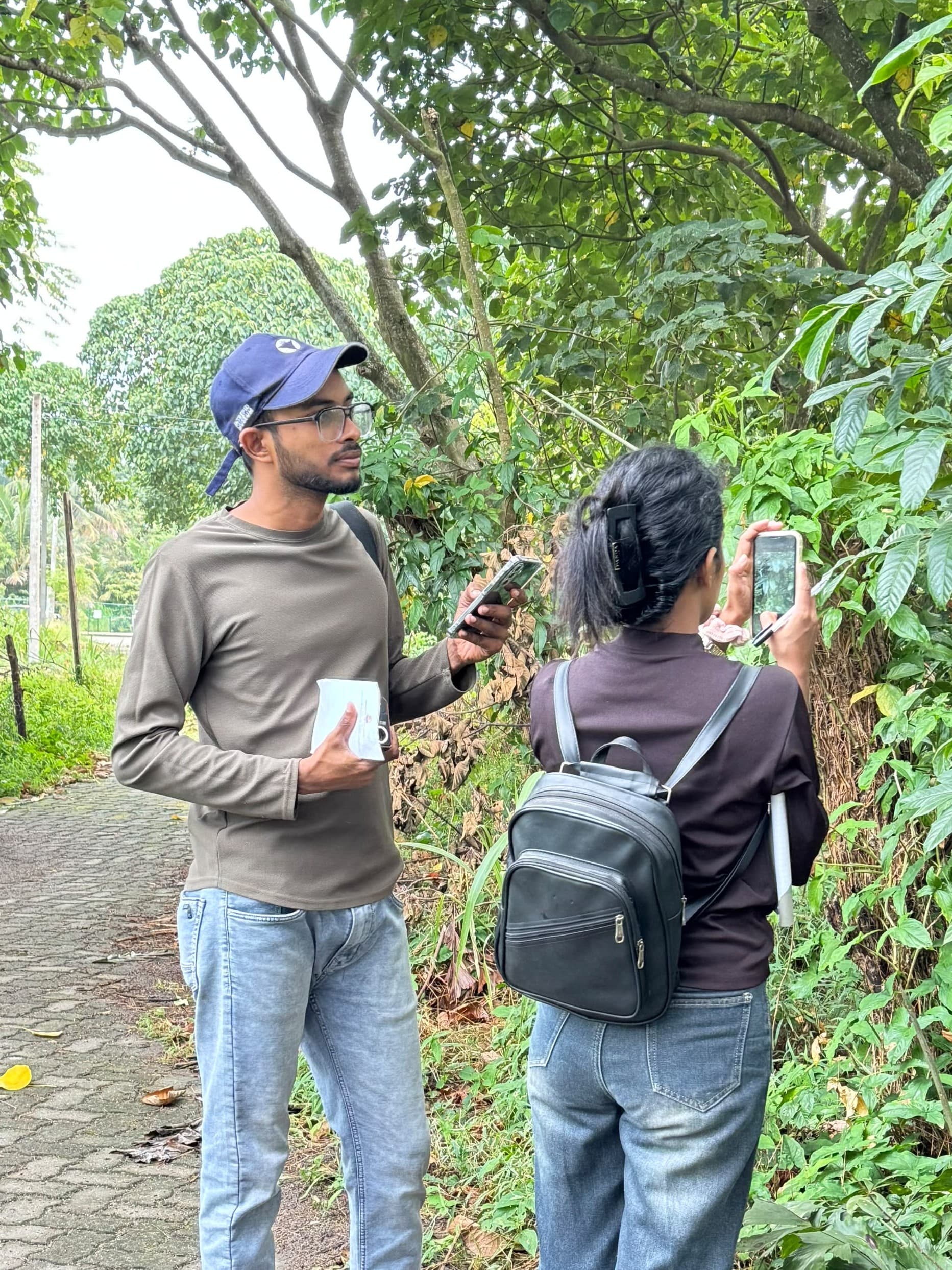 Field Surveys & Mapping