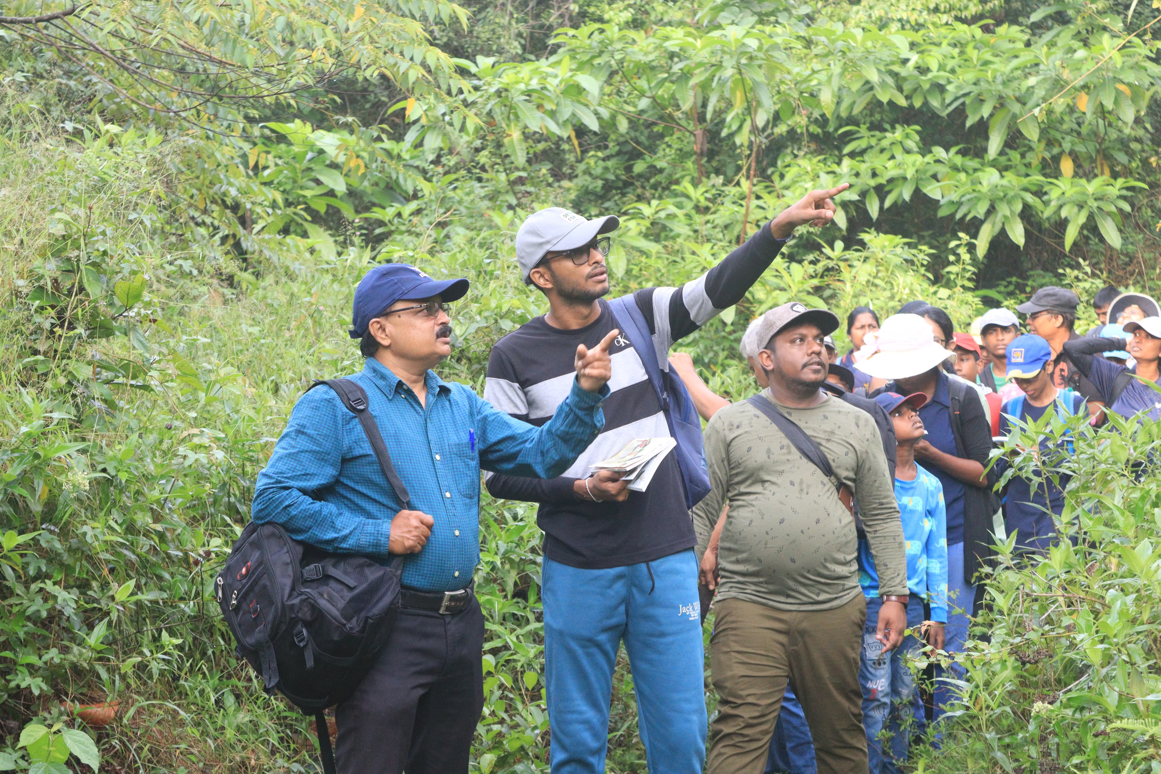 Urban Canopy Project