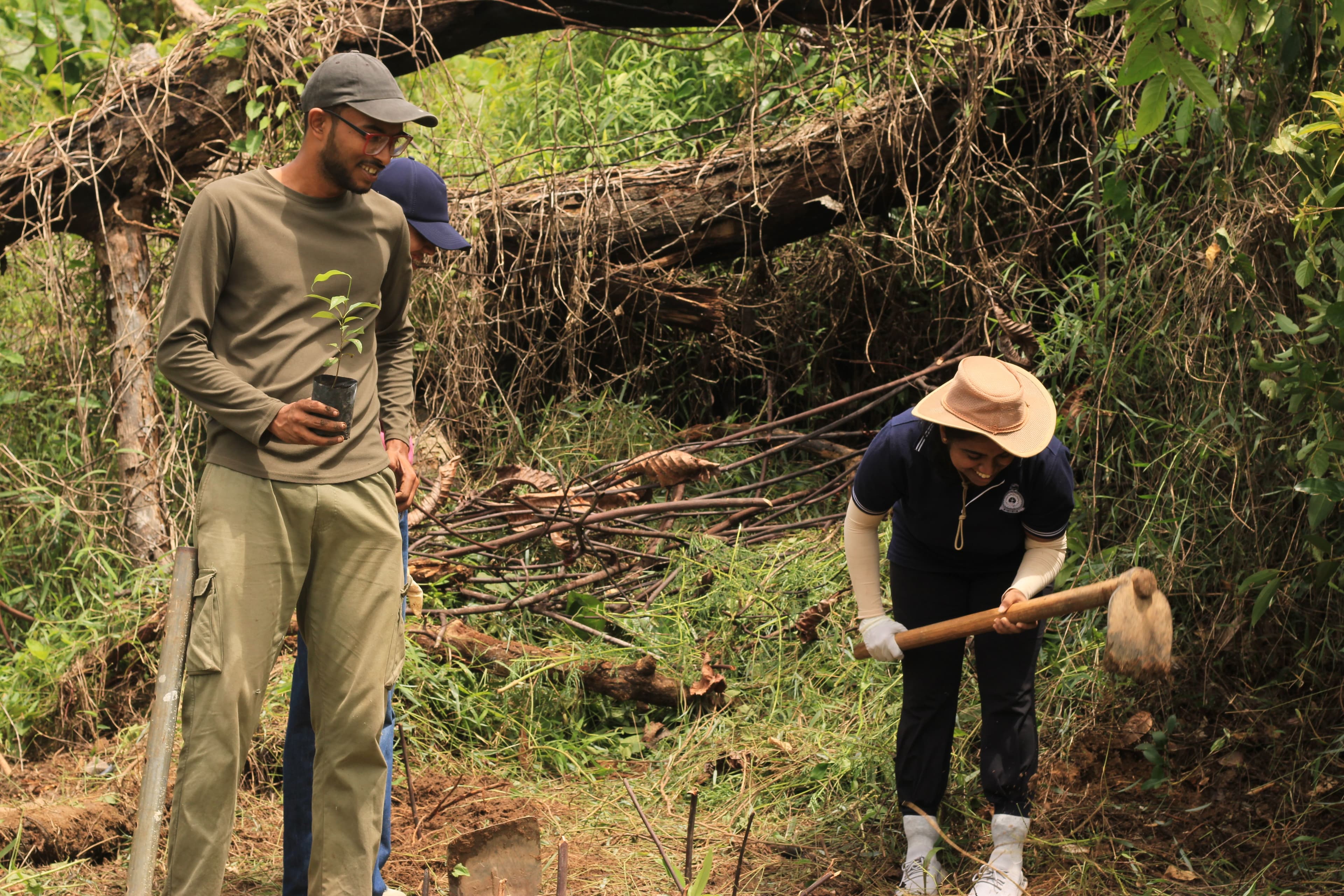 Tree planting activity carried out by the members.