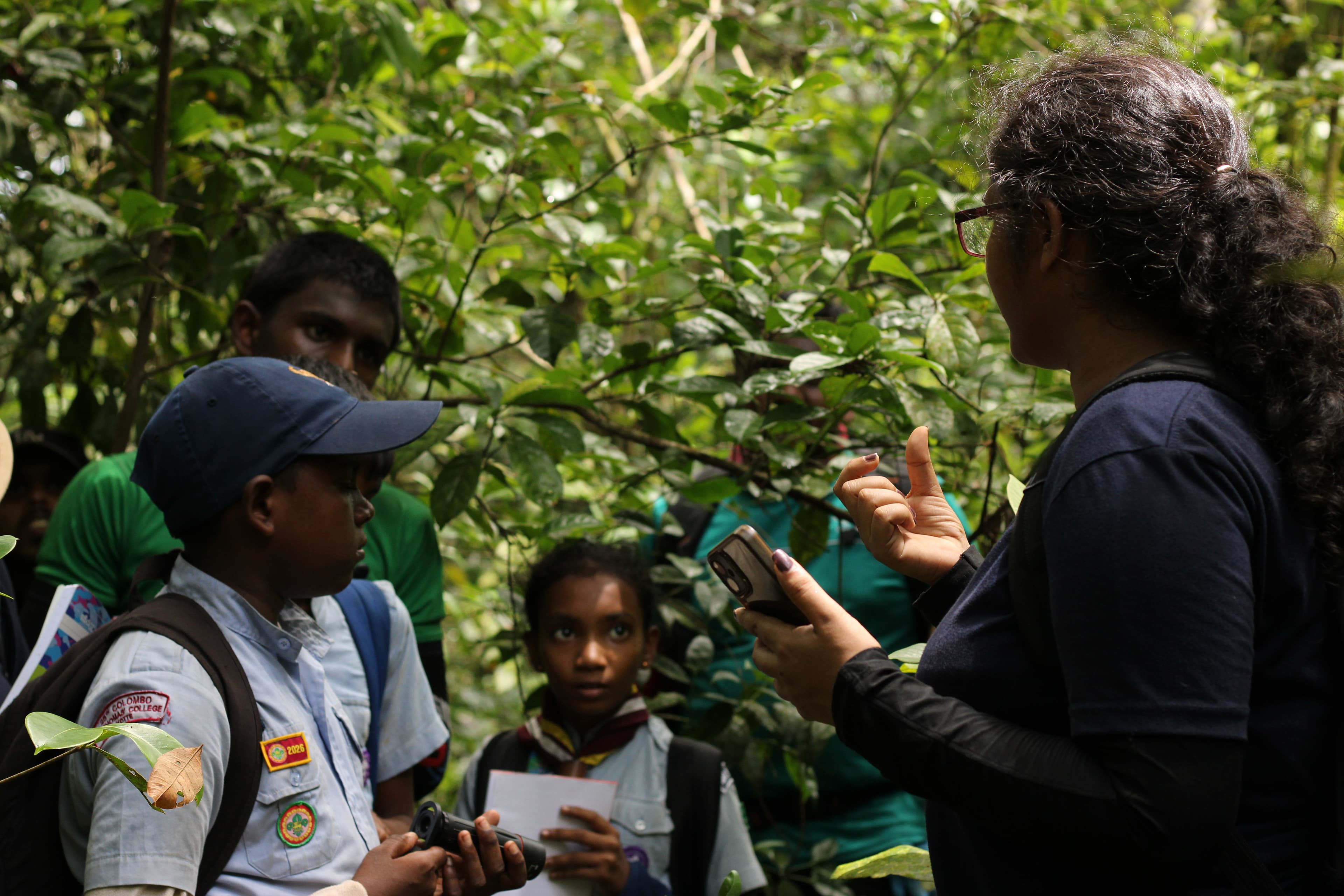 Introducing students to the fascinating biodiversity and hidden wonders of the forest ecosystem.