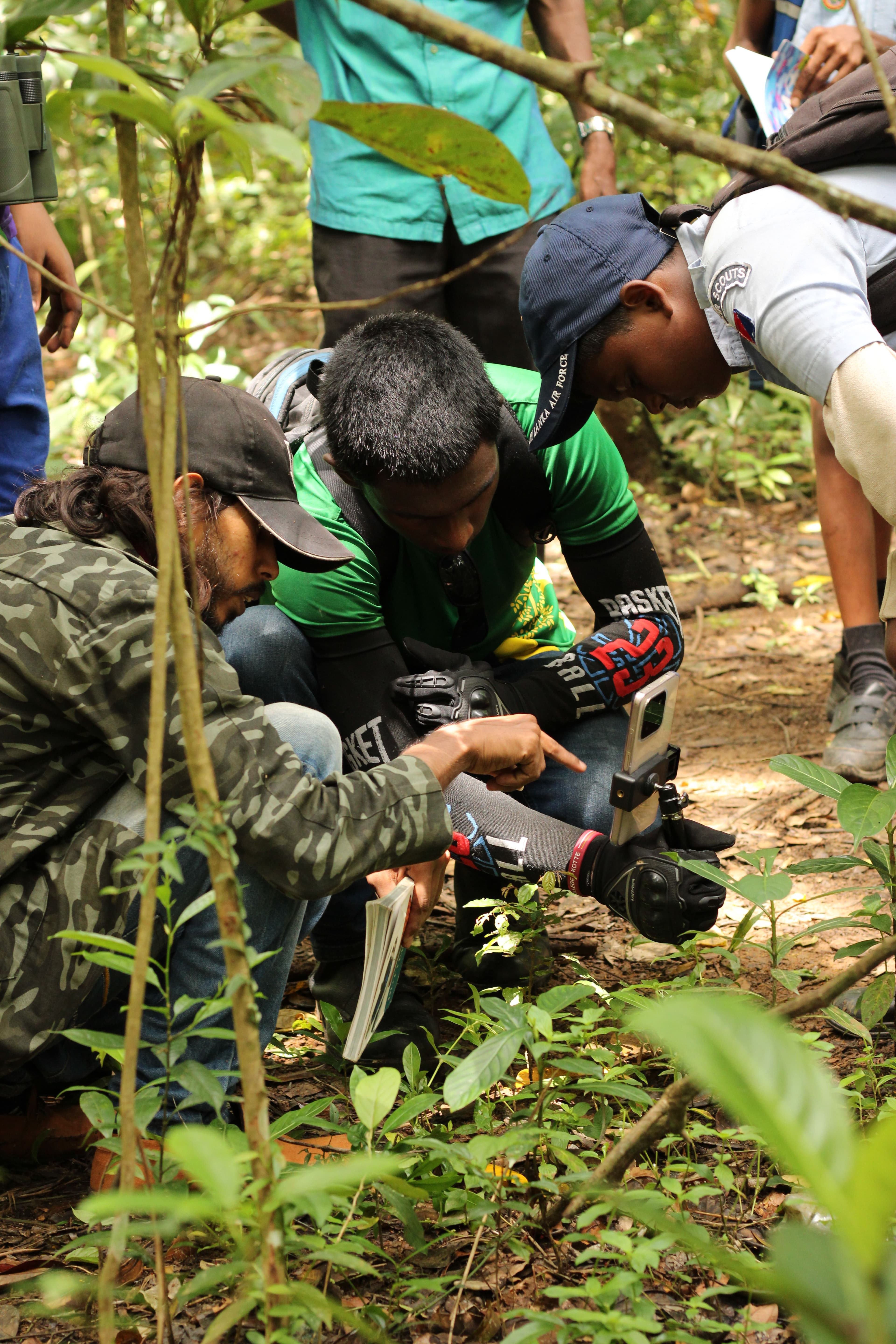 Capturing the natural beauty and rich wildlife within the forest.